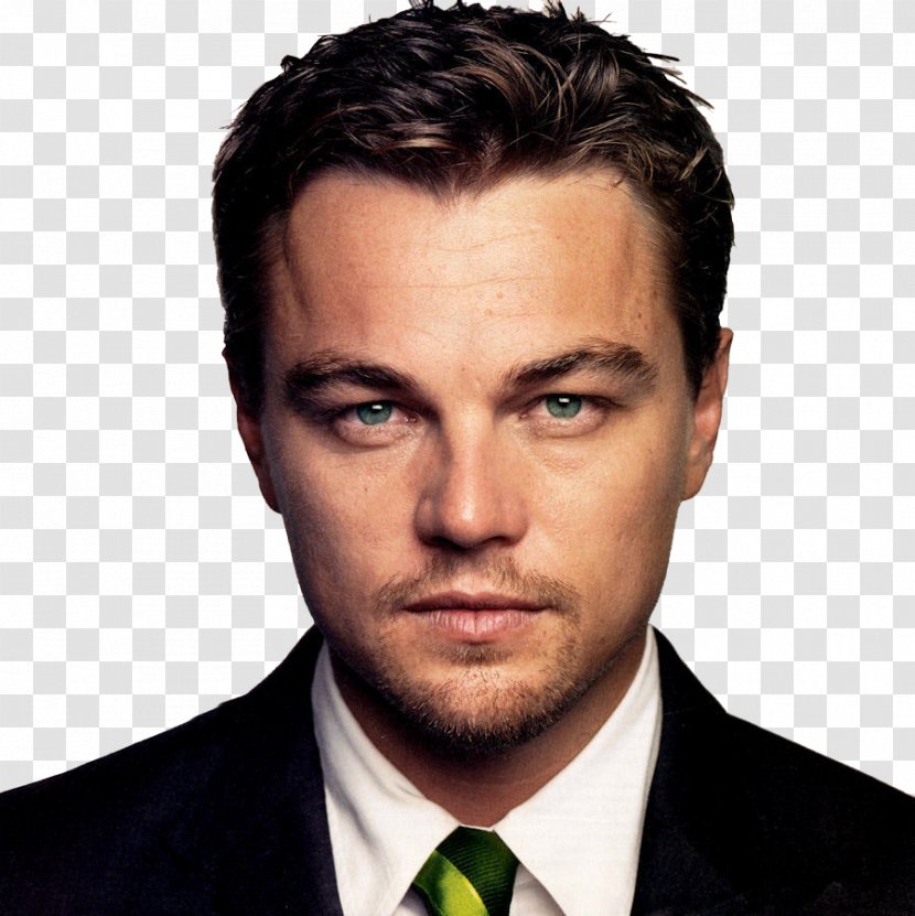 Leonardo DiCaprio The Wolf Of Wall Street Celebrity - Jaw Transparent PNG