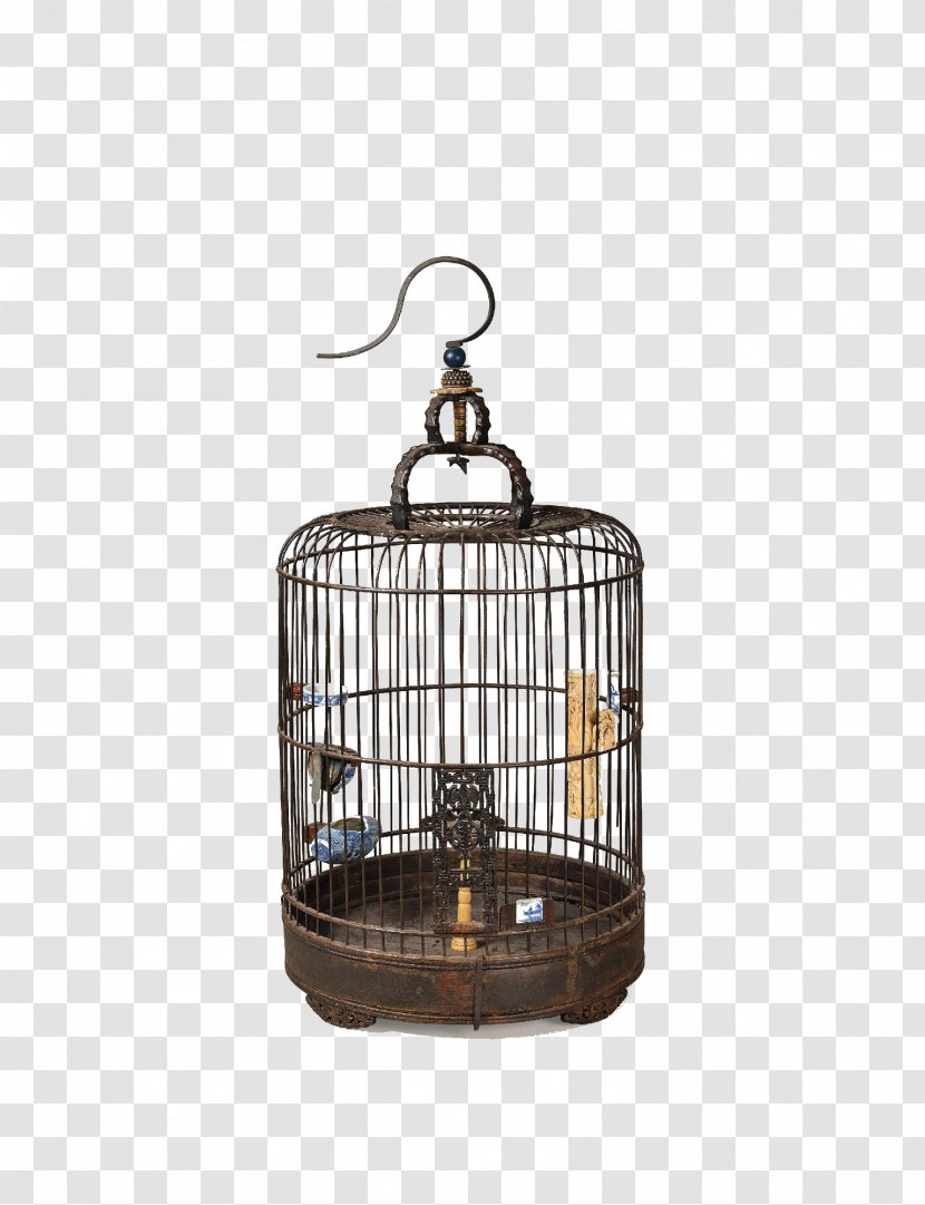 Birdcage Parrot Qing Dynasty - Porcelain - Buret Symbol Transparent PNG