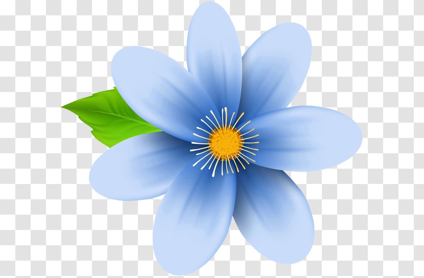 Flower Blue Desktop Wallpaper Clip Art - Petal Transparent PNG