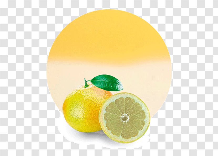 Lemon Juice Grapefruit Mandarin Orange Lime - Yuzu - Unusual Tropical Fruits Transparent PNG