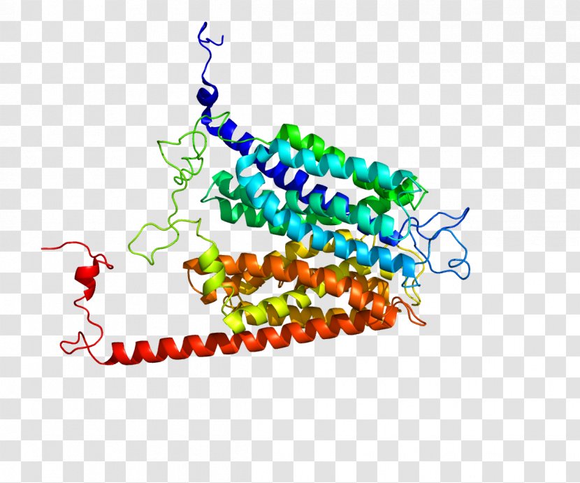 Glucose Transporter SLC2A7 Membrane Transport Protein GLUT4 - Silhouette - Tree Transparent PNG