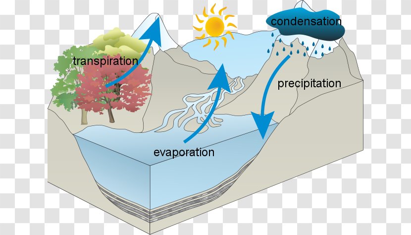 Water Cycle Resources National Secondary School - Third Grade - Diagram Transparent PNG