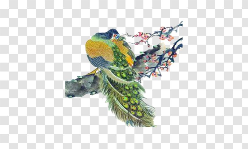 Painting - Parrot - Peacock Standing Branches Transparent PNG