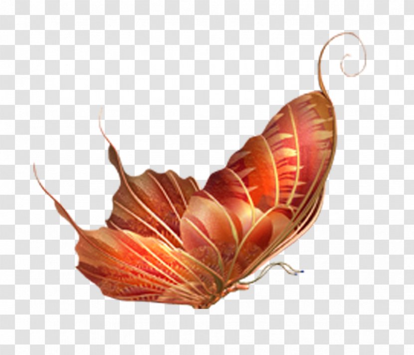 Butterfly Insect Clip Art - Colorful Transparent PNG