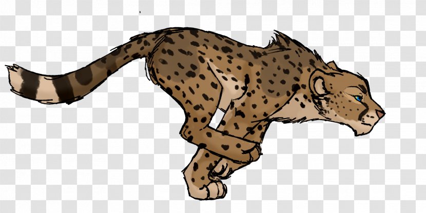 Cheetah Felidae Lion Leopard Jaguar - Wildlife Transparent PNG