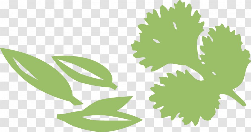 Herb Vegetable Stuffing Leaf Salad - Flower Transparent PNG
