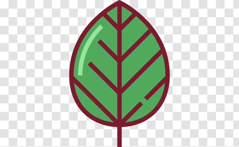 Leaf - Plant - Botany Transparent PNG