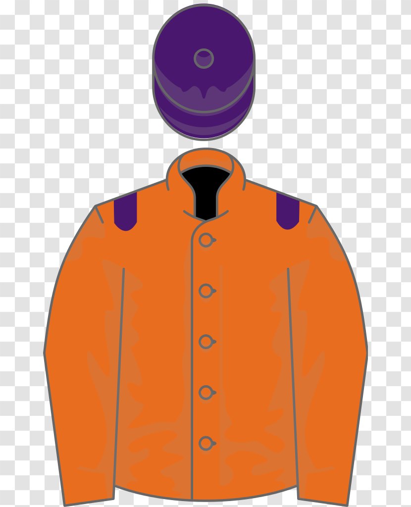 Thistlecrack Thoroughbred Epsom Derby Jockey Oaks - Colin Tizzard - Margaret Malandruccolo Transparent PNG