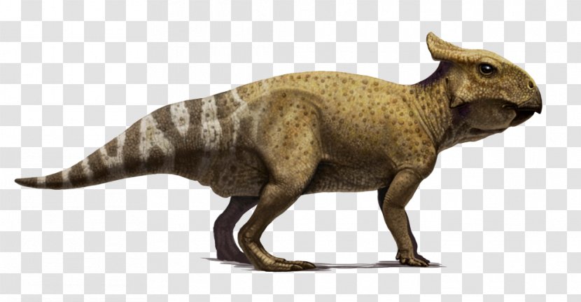 Protoceratops Velociraptor Bagaceratops Dinosaur Paleoart Transparent PNG