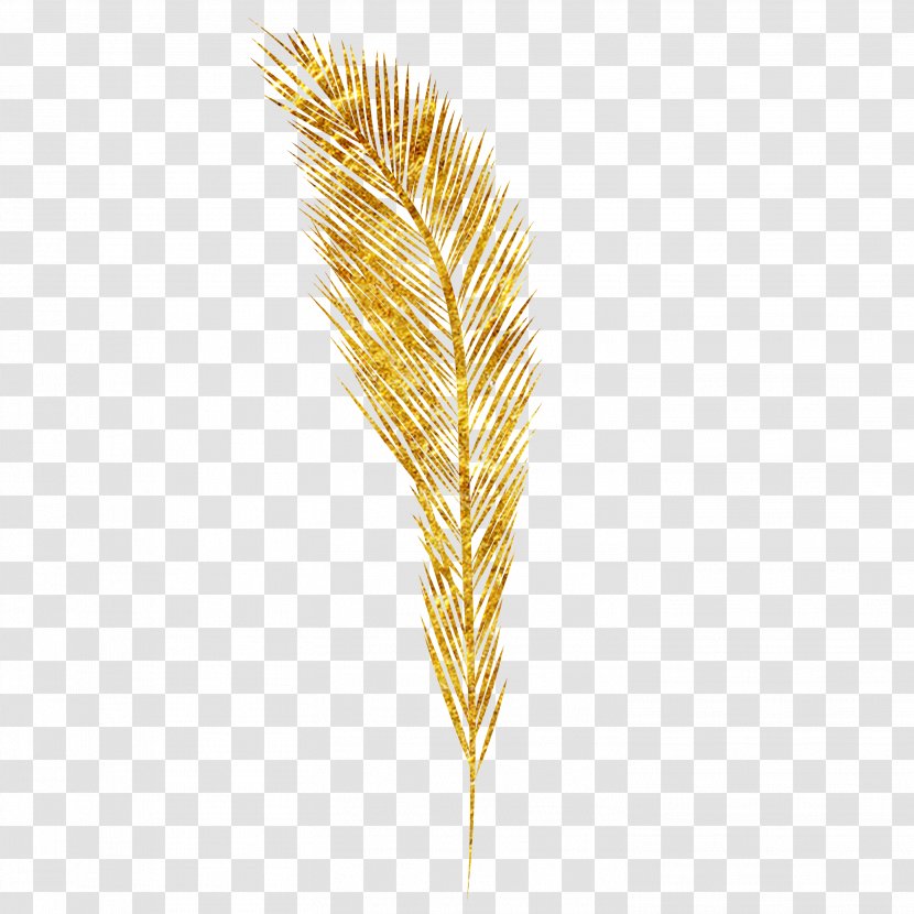 Emmer Ear Euclidean Vector - Wheat Transparent PNG