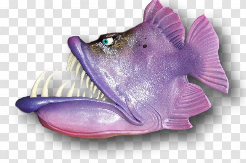 Purple Lilac Violet Fish Organism Transparent PNG