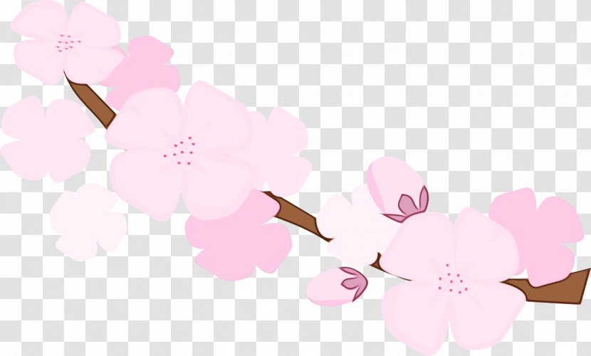 Cherry Blossom ST.AU.150 MIN.V.UNC.NR AD Desktop Wallpaper Floral Design - Petal - Pink M Transparent PNG