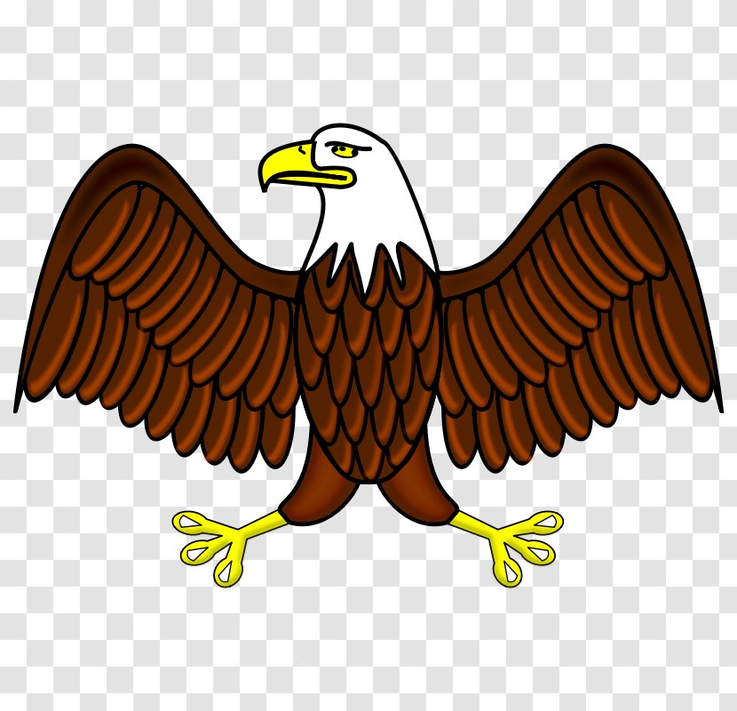 Bald Eagle Clip Art - Drawing - Patriotic Transparent PNG