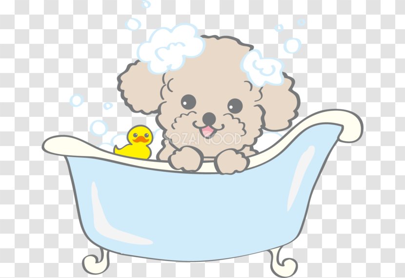 Puppy Dog Breed Poodle Shampoo - Flower Transparent PNG