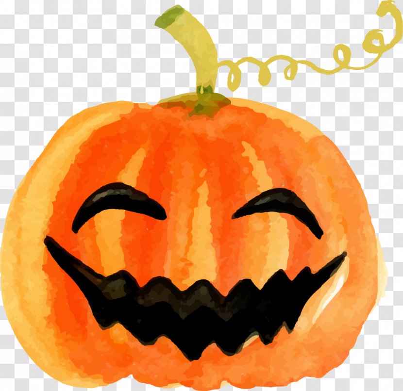 Pumpkin Calabaza Halloween Jack-o'-lantern - Winter Squash - Watercolor Transparent PNG