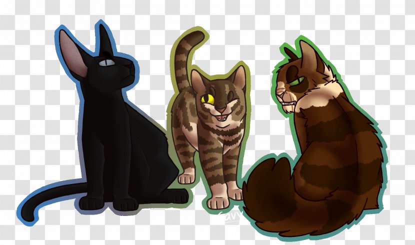 Black Cat Kitten Whiskers - Organism Transparent PNG