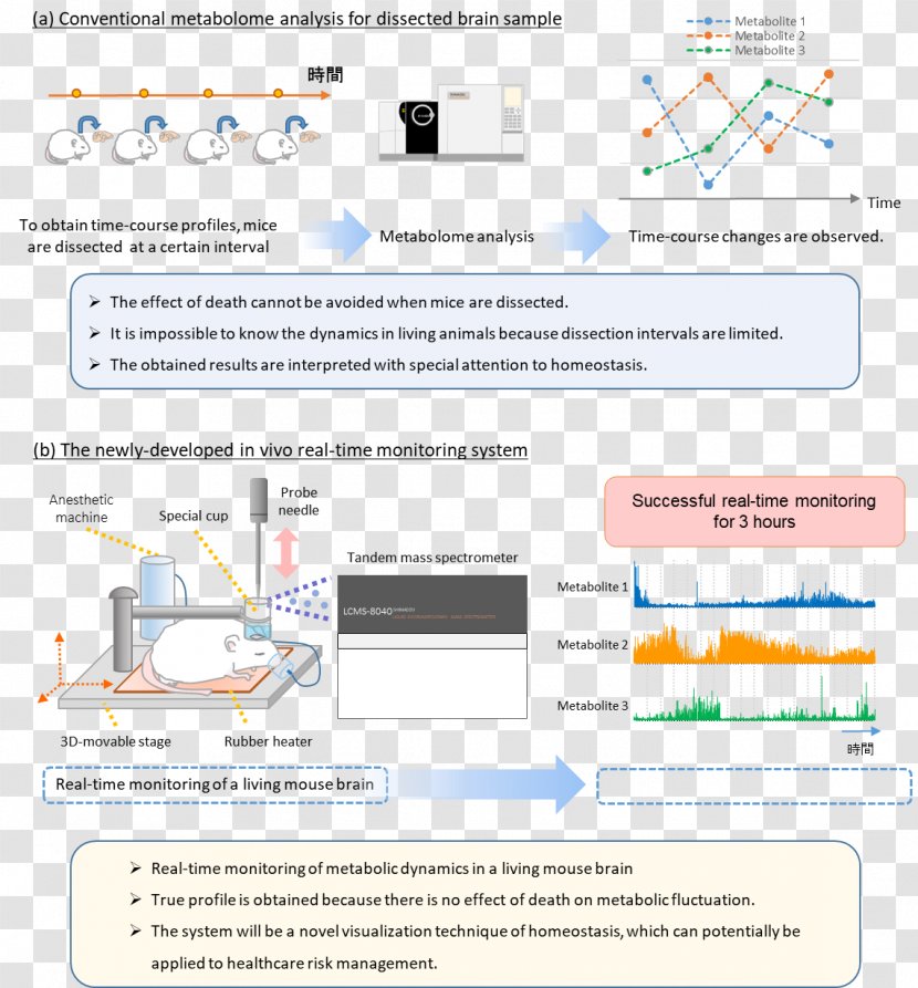 Nagoya University Research Organization Brain - Diagram - Motivation Transparent PNG