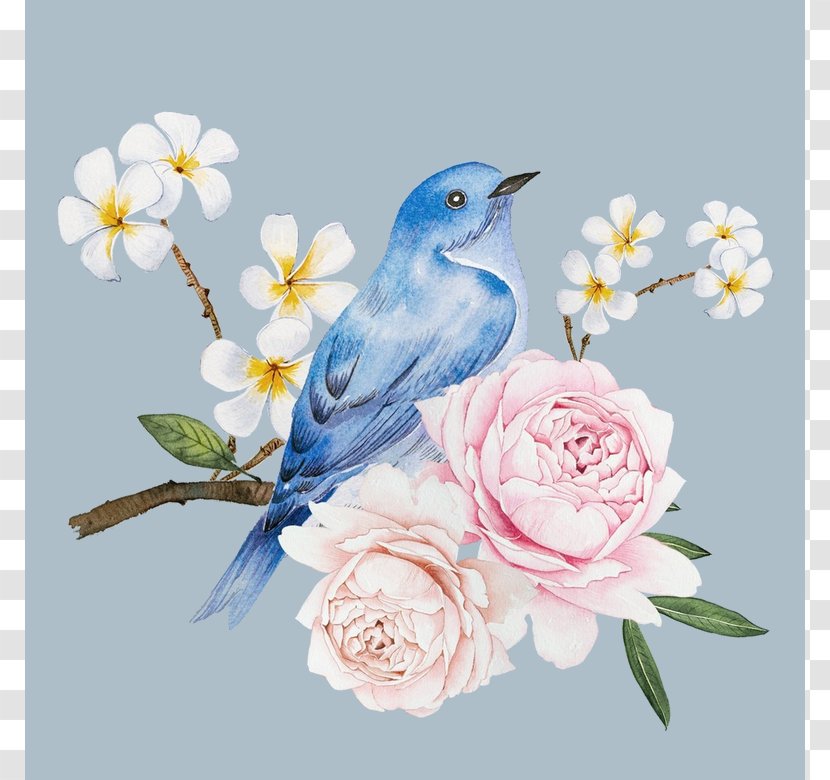 Bird Drawing Watercolor Painting Illustration Image Transparent PNG
