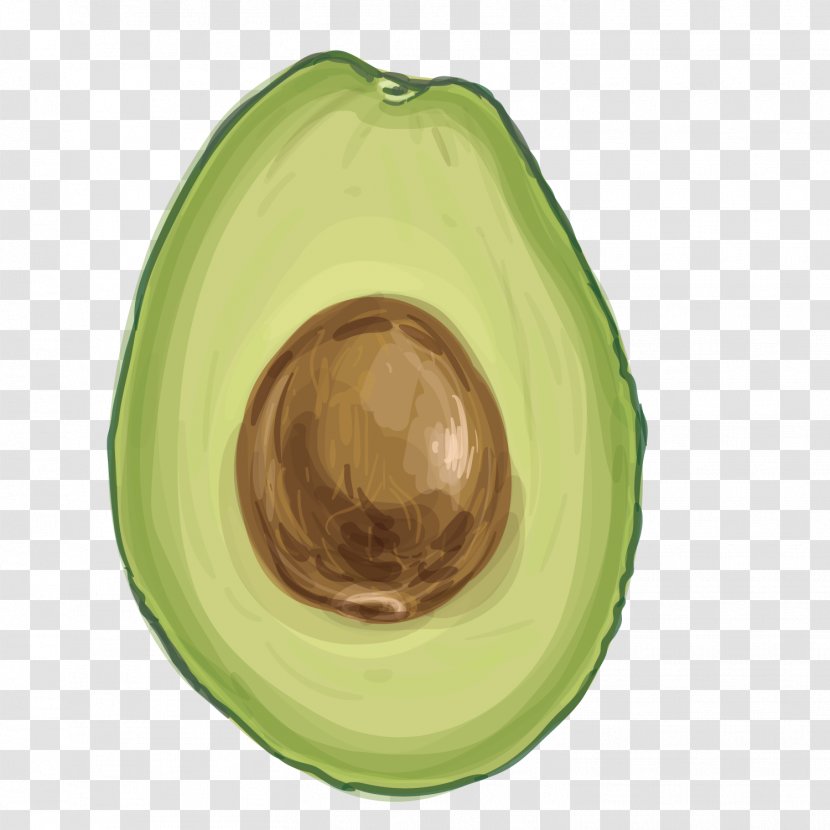 Food - Vector Avocado Transparent PNG