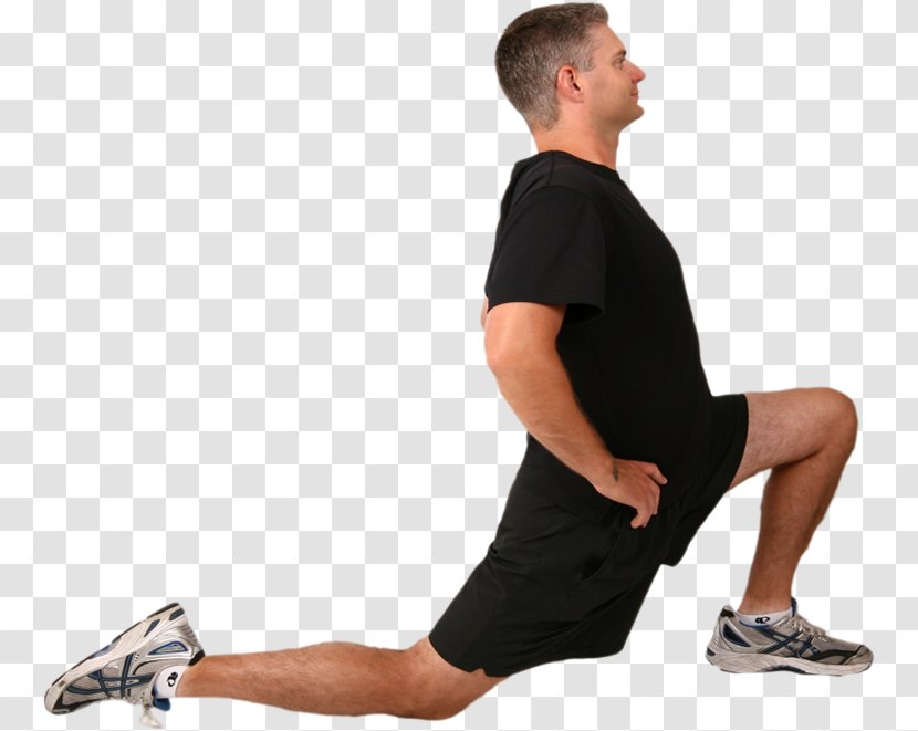 Iliopsoas Psoas Major Muscle Active Stretching Iliacus - Cartoon - Silhouette Transparent PNG