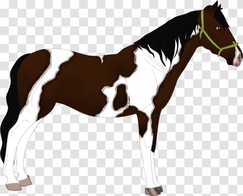 Mane Stallion Foal Mare Mustang - Vertebrate Transparent PNG