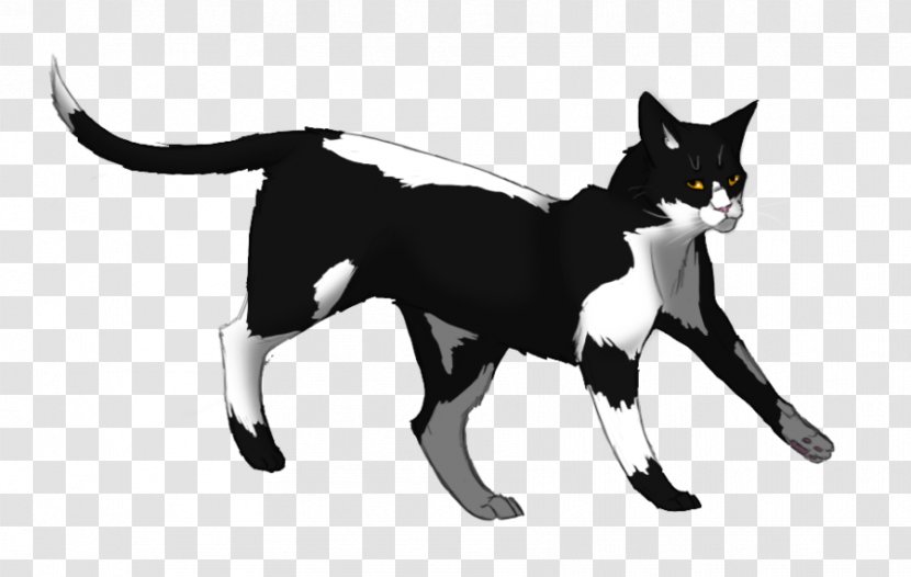 Warriors Swiftpaw Erin Hunter Wikia - Black And White Transparent PNG