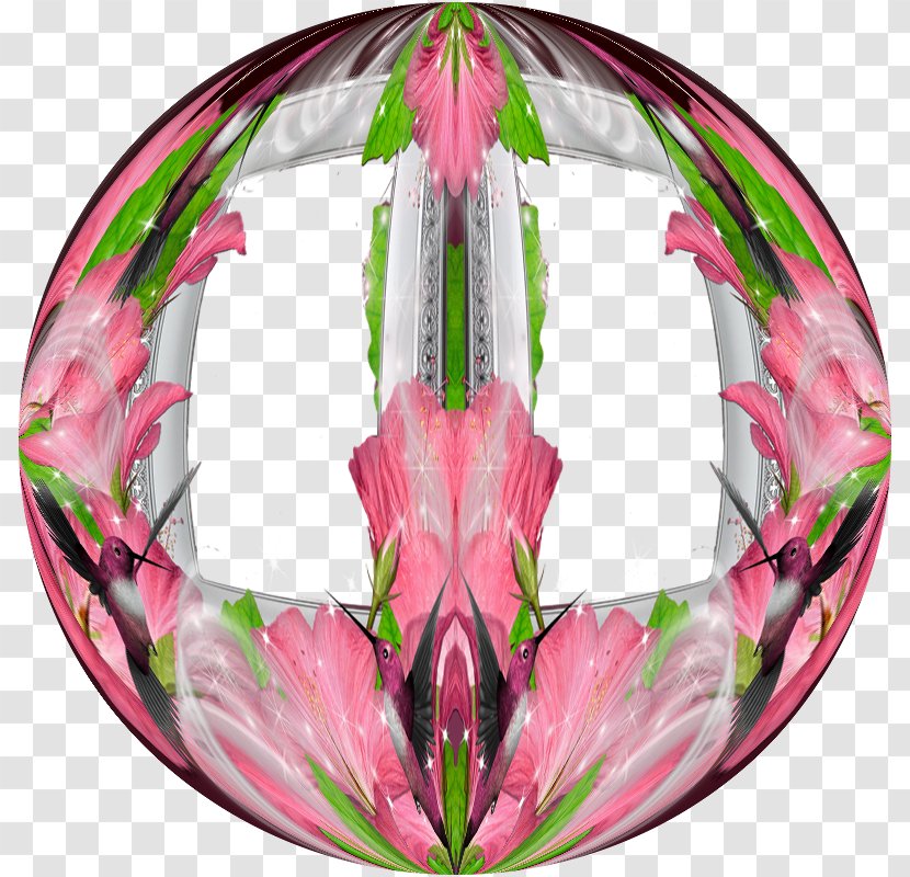 Cut Flowers Pink M Petal Leaf Plant - Marcos Redondos Transparent PNG