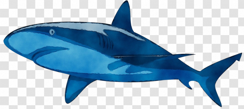 Sharks Tiger Shark Fish Tiger Cobalt Blue / M Transparent PNG
