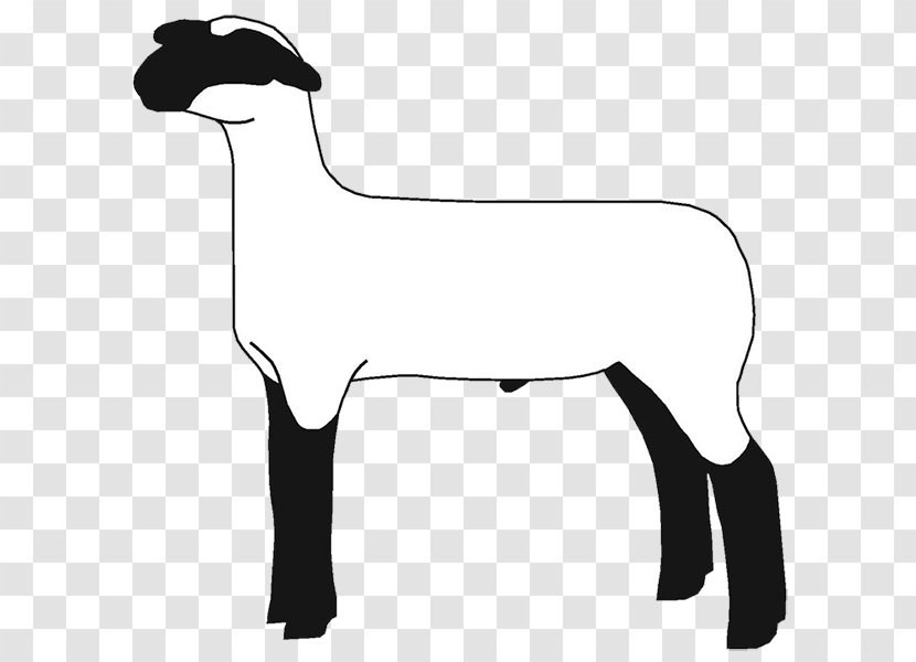 Sheep Goat Cattle Clip Art Mammal Transparent PNG