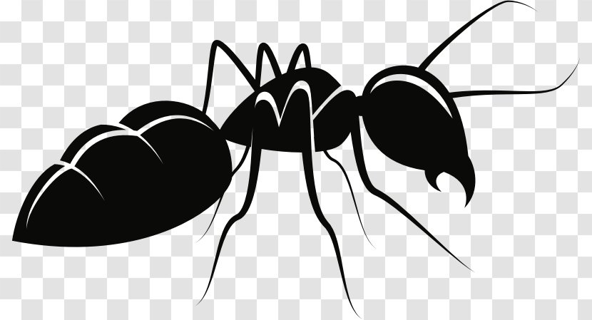 Ant Insect Vector Graphics Clip Art Drawing - Wing - Silhouette Transparent PNG