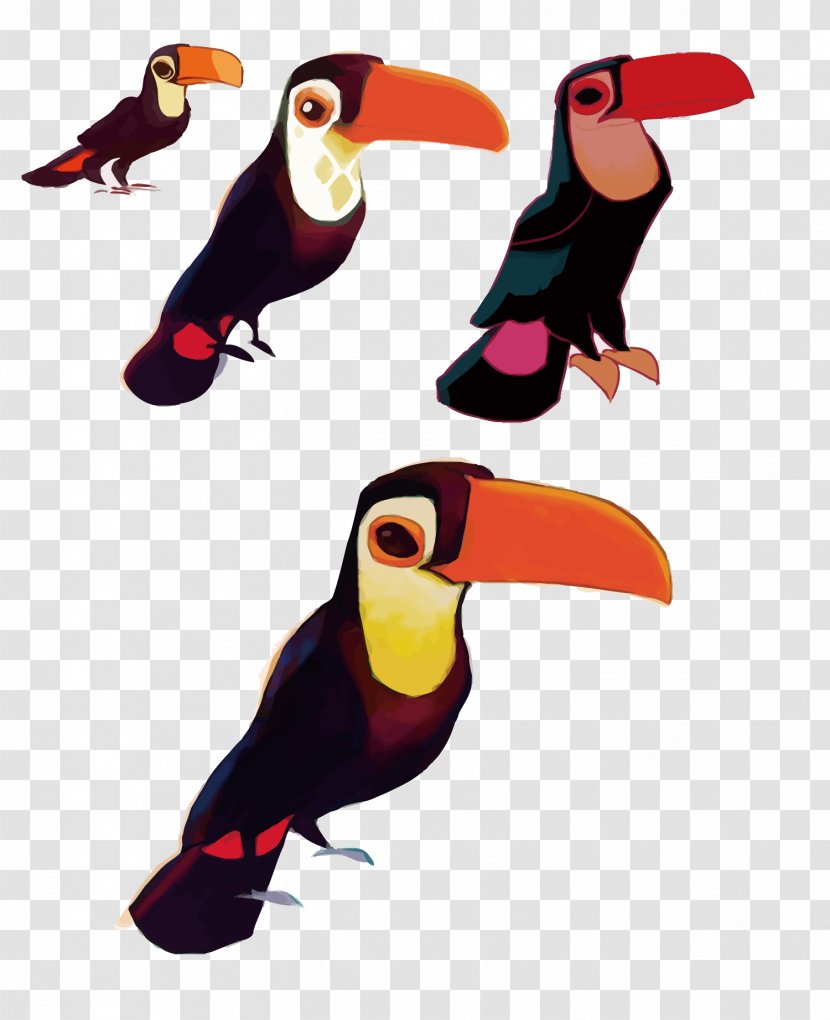 Toucan Download - Piciformes - Vector Big Bird Transparent PNG