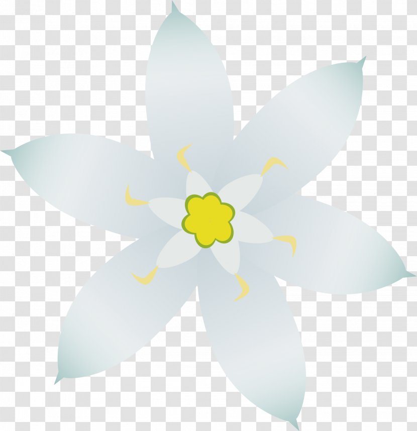 Star Of Bethlehem Clip Art - Petal - Small Flower Transparent PNG