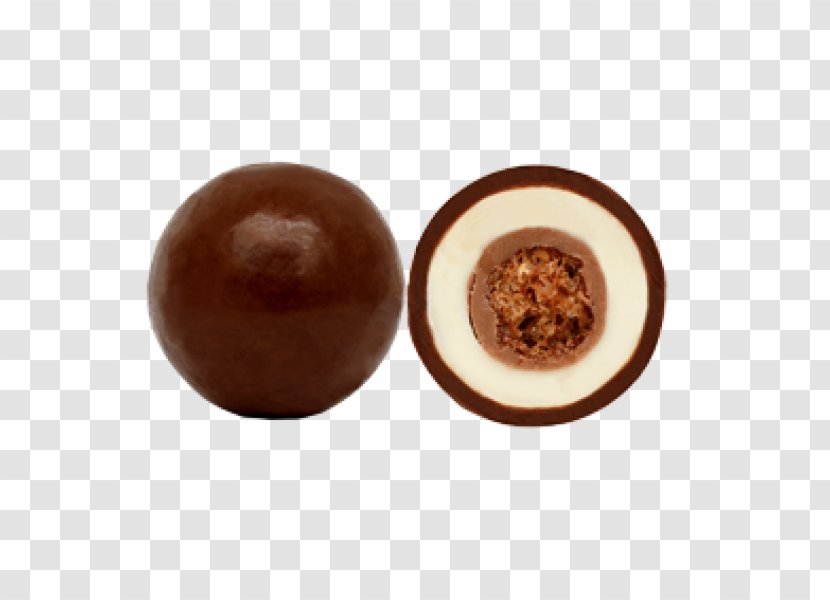 Praline - Chocolate - Marciano Transparent PNG
