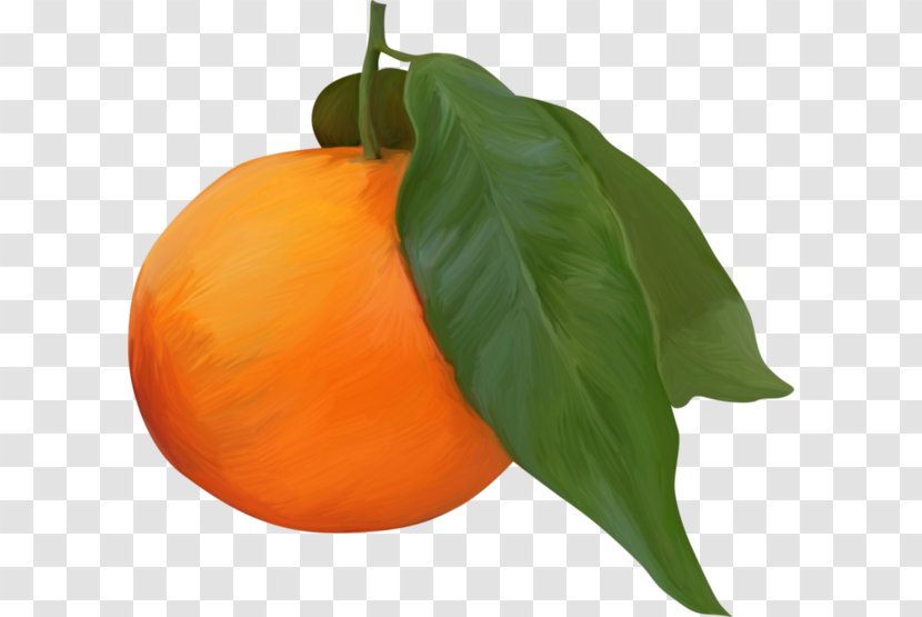 Clementine Orange Juice Fruit - Mandarin Transparent PNG