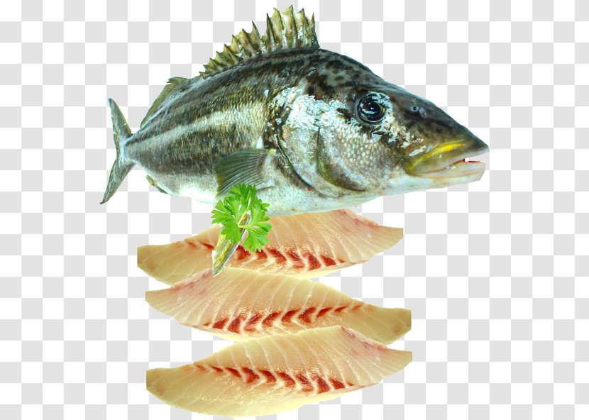Fish Fillet Seafood - Yellowtail Amberjack - Fresh Material Transparent PNG
