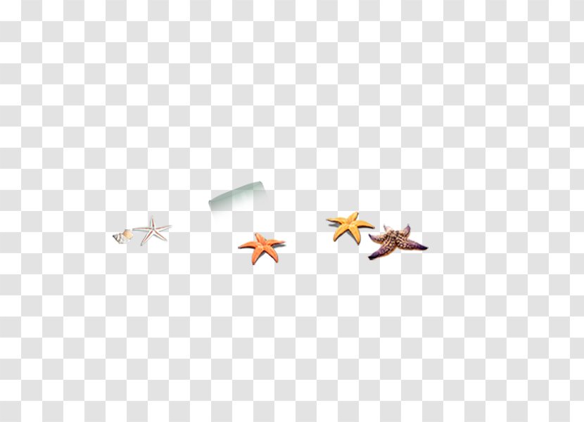 Starfish Euclidean Vector Icon - Search Engine Transparent PNG