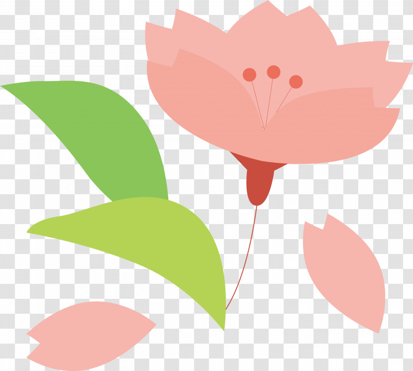 Cherry Flower Floral Flower Transparent PNG