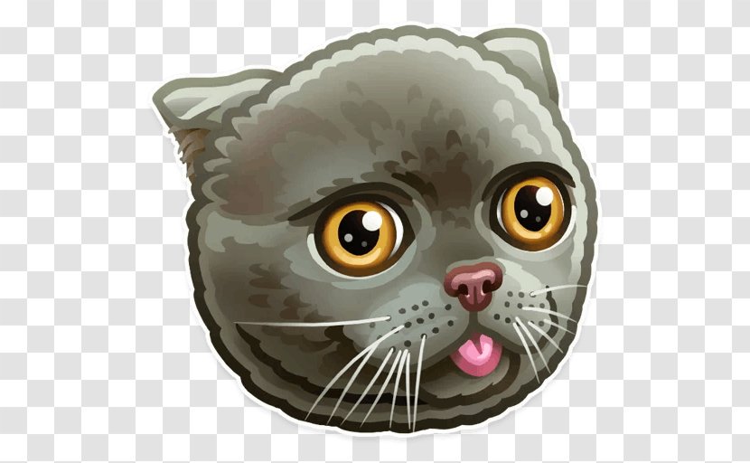 Kitten Whiskers Sticker Tabby Cat Transparent PNG