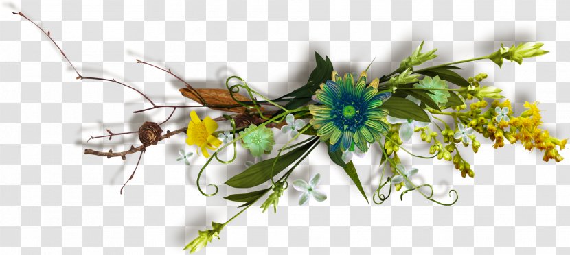 Floral Design Song Art Edelweiss - May - Seperation Transparent PNG