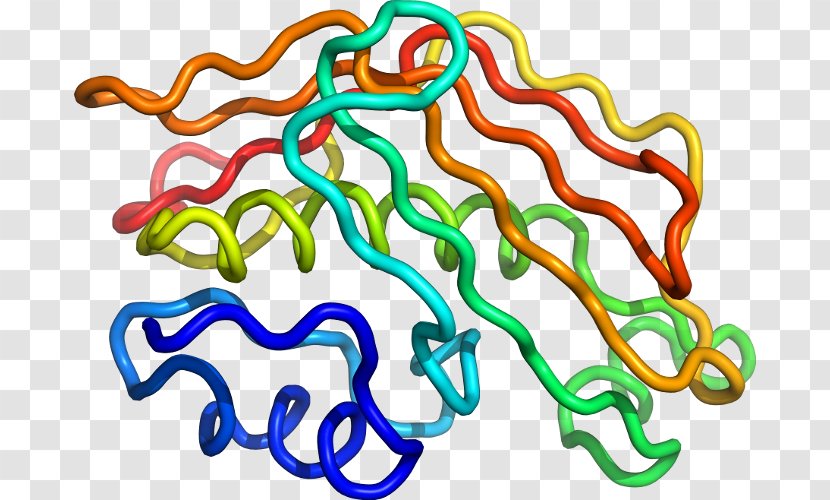 Organism Line Clip Art - Area Transparent PNG