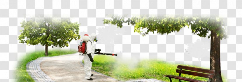 Pest Control Cockroach Mosquito Insect Transparent PNG