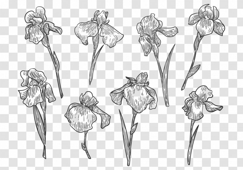 Drawing Flower Line Art Sketch - Body Jewelry Transparent PNG