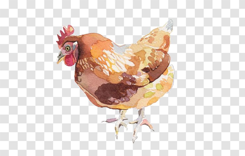 Roast Chicken Lemon Watercolor Painting Illustration - Rooster Transparent PNG