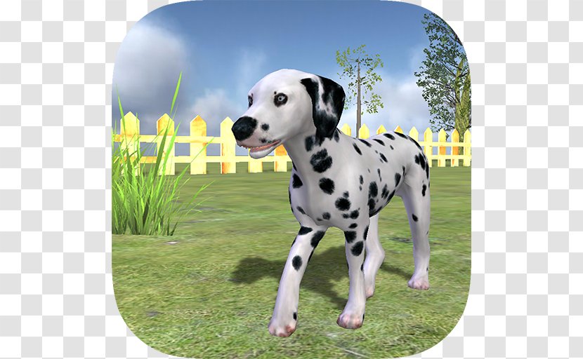 Dalmatian Dog Play With Your Dog: ChildApp Is-it Love? Drogo - Non Sporting Group - Vampire Love 365: Find StoryMud Horse Transparent PNG