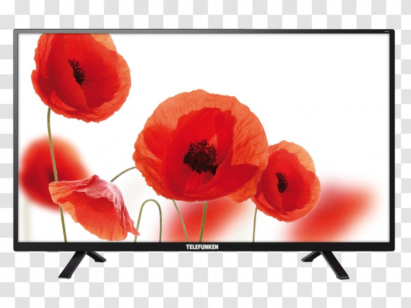 Telefunken High-definition Television 1080p LED-backlit LCD - Pal - Home Electronics Transparent PNG