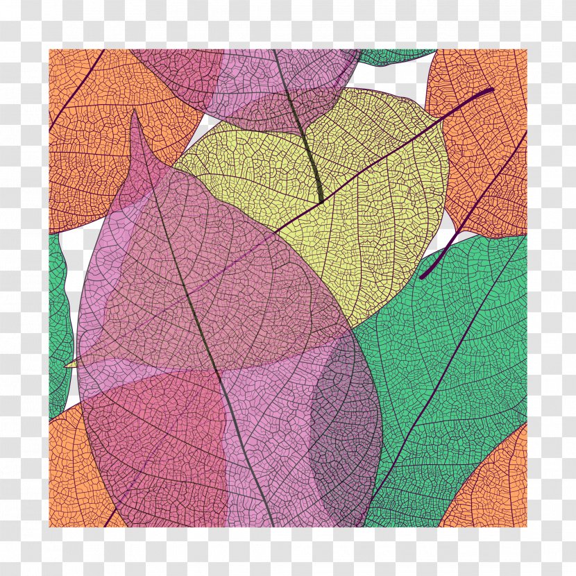 Colour Leaves Are Free From Picking - Autumn - Computer Graphics Transparent PNG