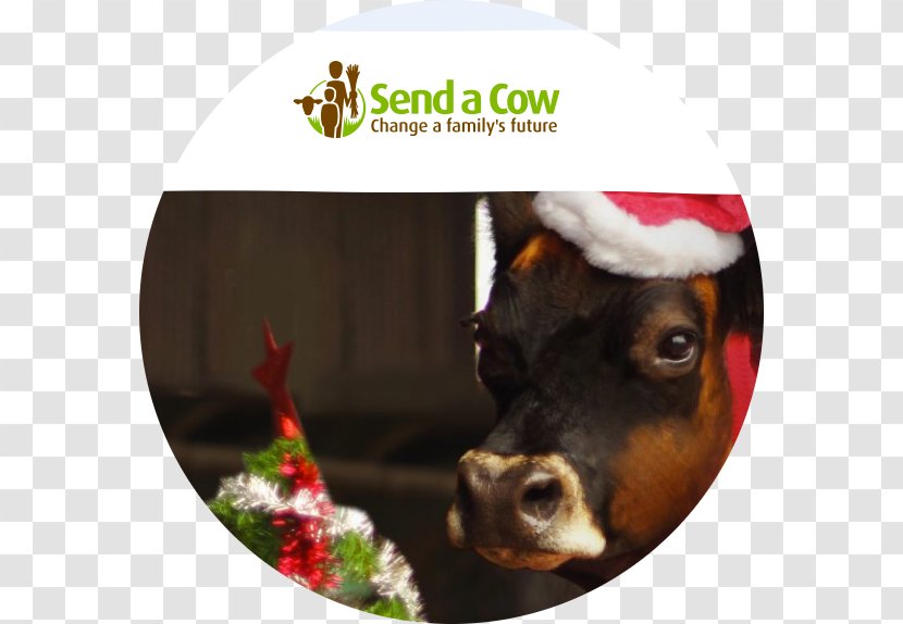 Dog Snout Cattle Christmas Ornament Day Transparent PNG