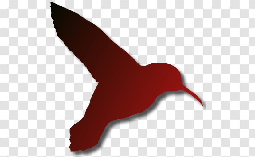 Beak Water Bird Silhouette Clip Art - Red Transparent PNG