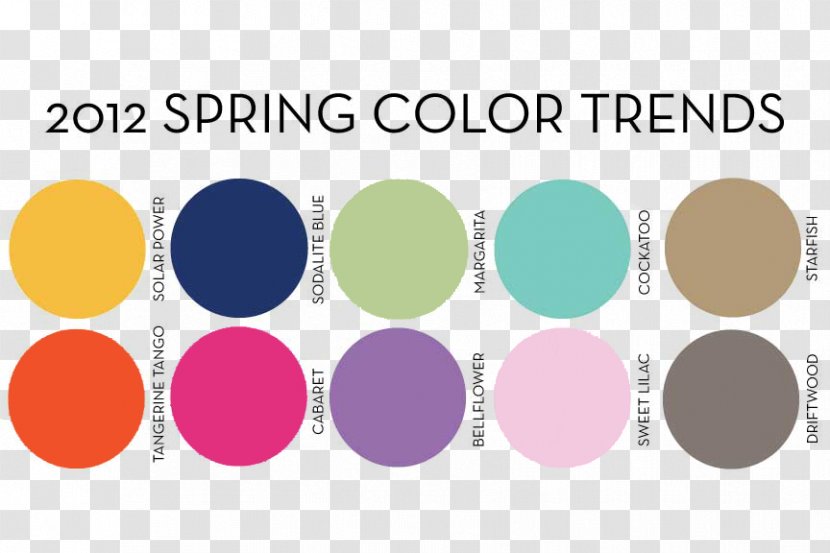 Color Scheme Wheel Palette Wedding - Trend Colors Transparent PNG