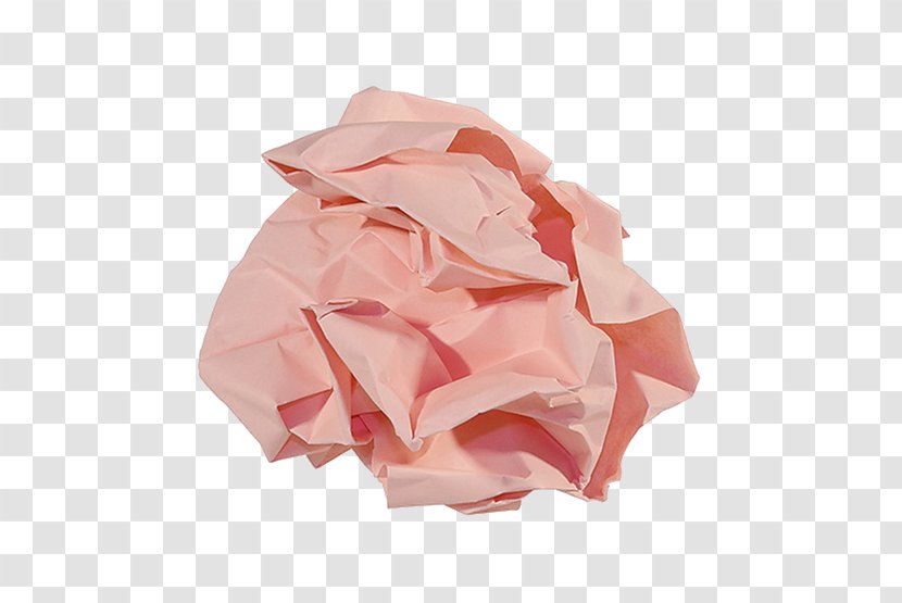 Garden Roses Light Pink A4 A3 - Petal Transparent PNG